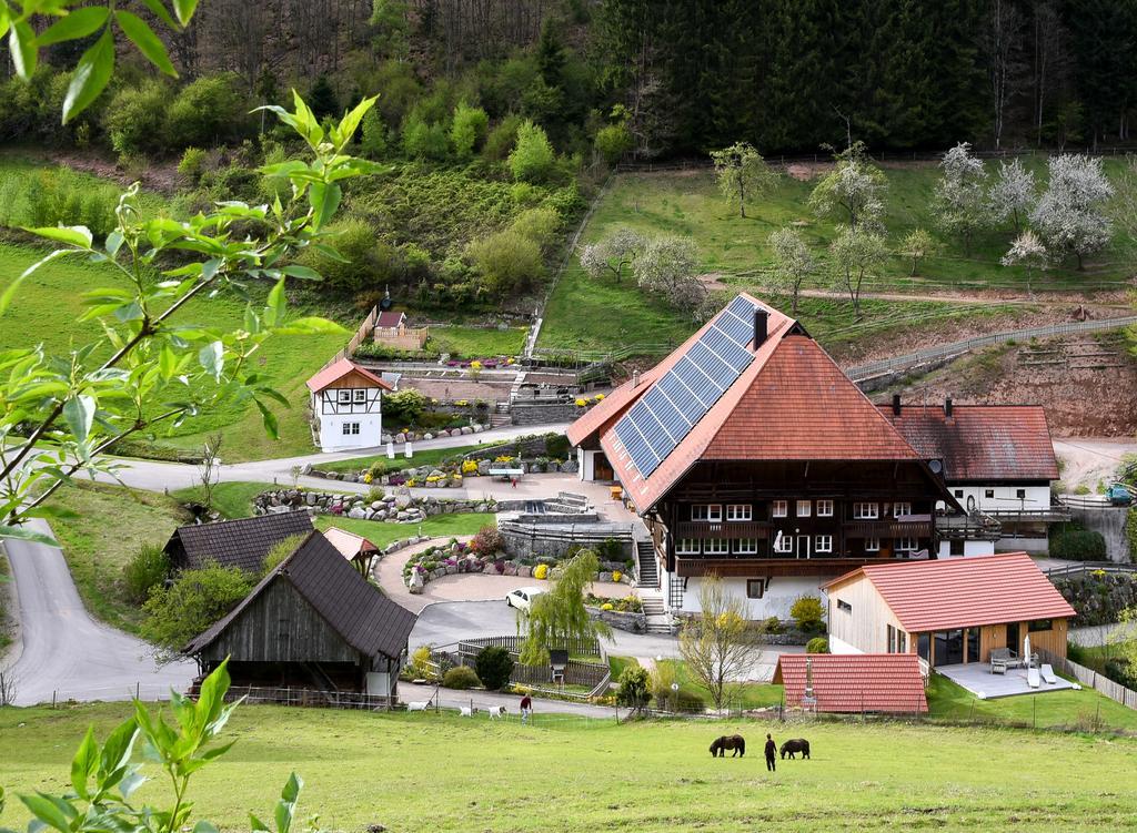 Muellerjoergenhof Apartman Gutach Kültér fotó